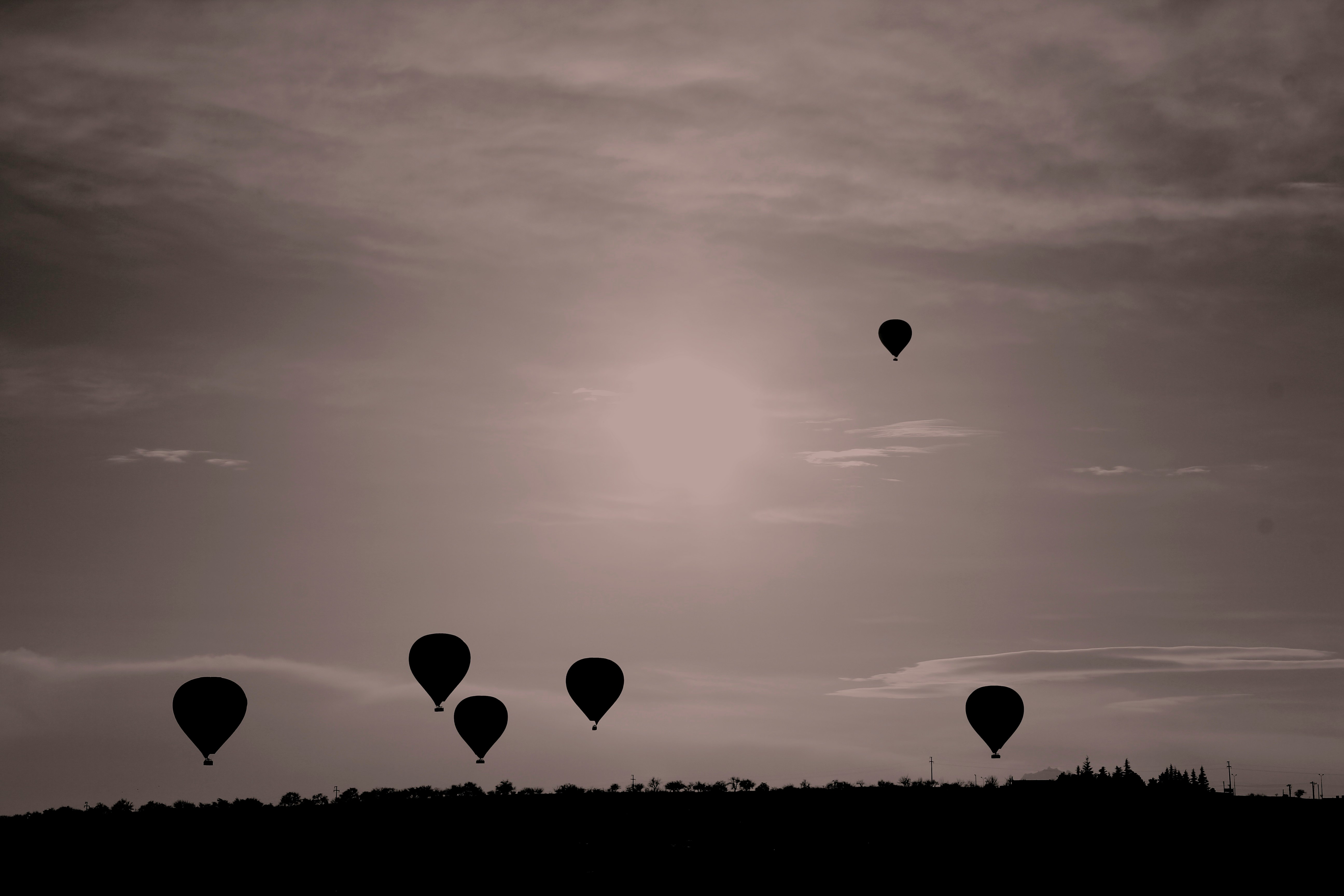 silhouette photography of hot air balloons